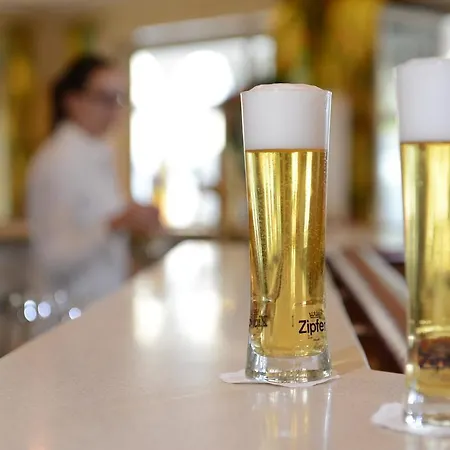 德尔慕斯酒店集团 - 佩莎赫德尔慕斯酒店 酒店 Pörtschach am Wörthersee