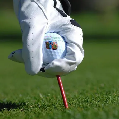 德尔慕斯酒店集团 - 佩莎赫德尔慕斯酒店 Pörtschach am Wörthersee