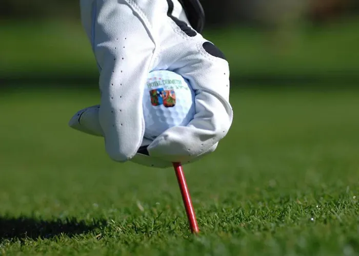 Dermuth - Dermuth Poertschach Pörtschach am Wörthersee