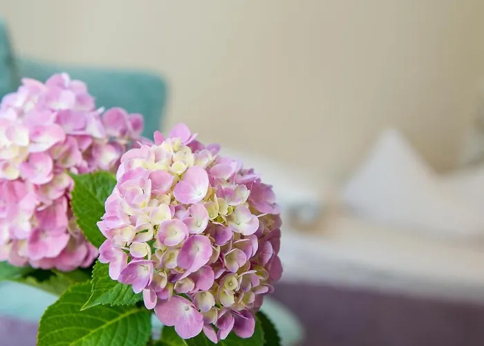 Dermuth Hotels - Hotel Dermuth Poertschach 4*